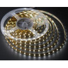 Rollo 5 metros tira LED adhesiva SMD 3528 IP65 blanco puro 12V DC