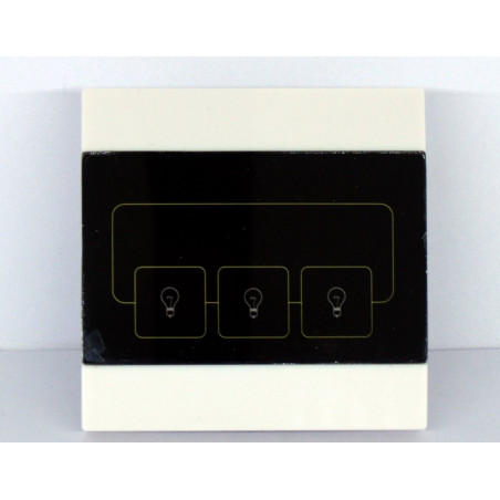 3-button TOUCH switch for 220V devices and 868 MHz remote control