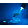 USB-Aromadiffusor-Luftbefeuchter in Form einer mehrfarbigen LED-Glühbirne