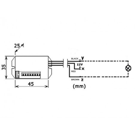 Mini sensore movimento PIR 12V DC crepuscolare timer interruttore 30V 2,5A MAX