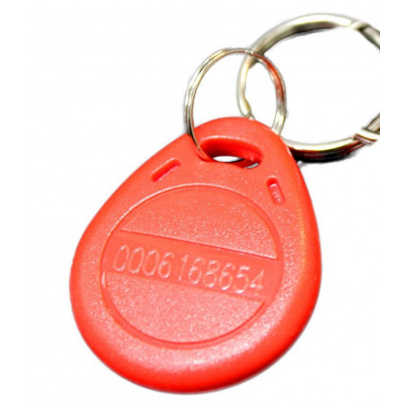 1 TAG RFID 125kHz EM4100 PORTACHIAVI COLORATO