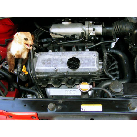 Ultrasonic repellent Mice Martens Rodents motor vehicles bonnet 12V DC