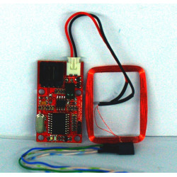 Arduino EM4100 125KHz RS232 RFID-Lesegerät und Wiegand W26-Antenne