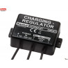 Regolatore di carica batteria piombo 12V per fotovoltaico e alimentatori