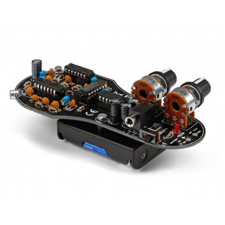 KIT Convertisseur de fréquence Détecteur d'ultrasons et chauves-souris pour casques