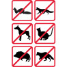 Transducteurs haute puissance répulsifs de brouilleur ultrasonique pour petits animaux 4