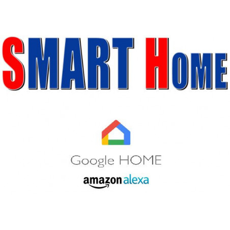 Cámara IP WiFi Cámara LAN HD Día Noche Luz 1080p Smart T1 Google Home Alexa