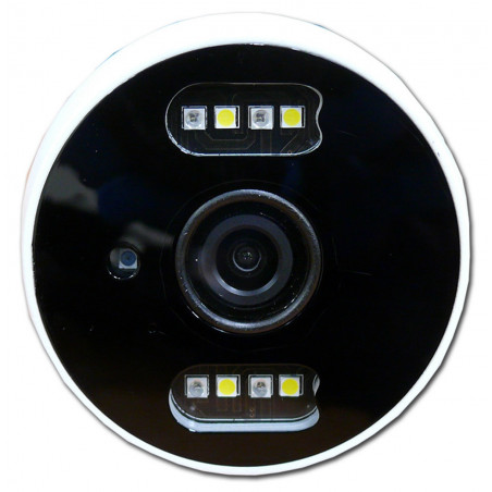 Caméra IP WiFi LAN Caméra HD Day Night Light 1080p Smart T1 Google Home Alexa