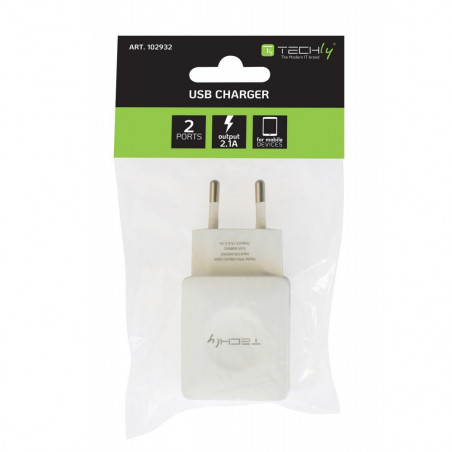 USB charger 2 ports 2.1A AC 100-240V Italian plug 10A