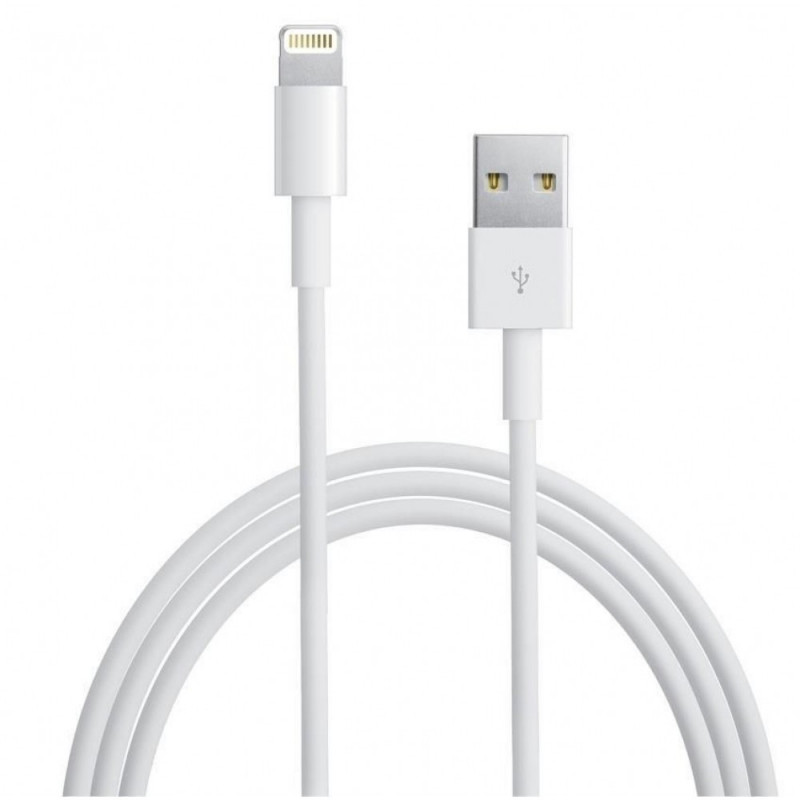 Câble Lightning vers USB2.0 8p Blanc 1m pour iPhone iPad iPod