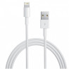 Cavo da Lightning a USB2.0 8p Bianco 1m per iPhone iPad iPod