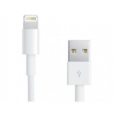 Câble Lightning vers USB2.0 8p Blanc 1m pour iPhone iPad iPod