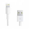 Câble Lightning vers USB2.0 8p Blanc 1m pour iPhone iPad iPod