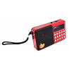 FM radio 55 channel memory + MP3 player TF memory USB rechargeable battery