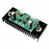 Module amplificateur audio monocanal 200 W assemblé pour haut-parleurs 4-8 ohms
