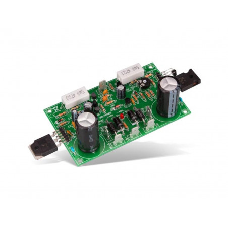 200W 1-kanals förstärkarmodul KIT för 4-8 ohm högtalare