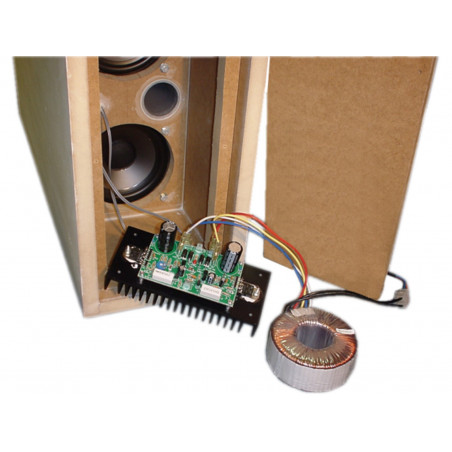 200W 1-channel amplifier module KIT for 4-8 ohm speakers