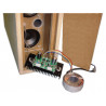200W 1-channel amplifier module KIT for 4-8 ohm speakers