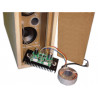 KIT 200W 1-channel amplifier module for 4 - 8 ohm speakers