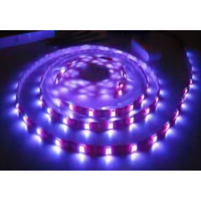 Roll 5 meters adhesive LED strip smd 5050 tri-chip IP65 BLUE 12V DC