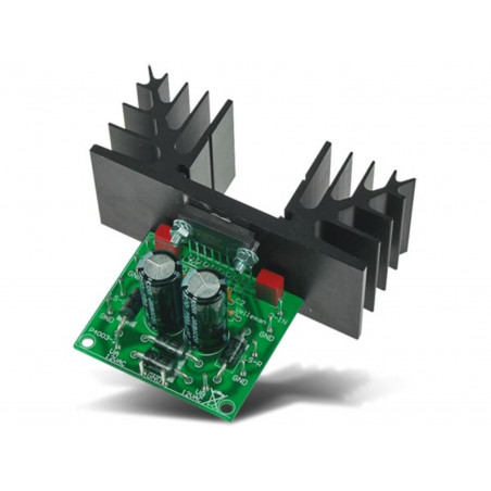 TDA2616 STEREO 2 X 30 W Verstärker KIT für 4 - 8 Ohm 2 x 12VAC Lautsprecher