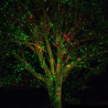 GARDEN LIGHT LASER RED-GREEN FLASH projector