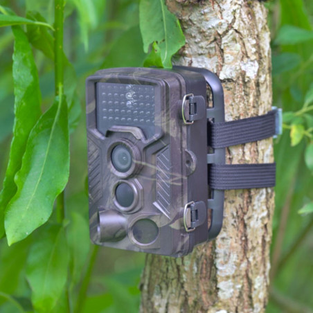 Piège à caméra camouflage 8MPX avec LED GSM, PIR et IR