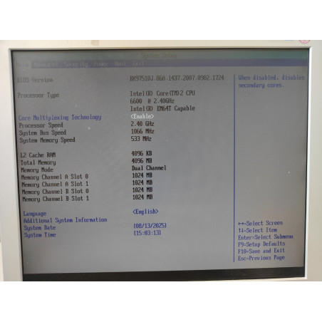 Set Intel D975XBX + Core 2 Quad Q6600 + Nvidia Quadro FX1500 + 4GB DDR2 533MHz + Driver