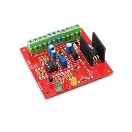 KIT Regolatore di Carica Solare PWM 12/24V per Pannelli Fotovoltaici