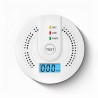 Battery-Operated Carbon Monoxide Detector with Alarm