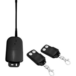 Kit Ricevitore Universale 433,92 MHz 2 Canali con 2 Radiocomandi – 12/24V AC/DC per Cancelli, Serrande e Luci Z549