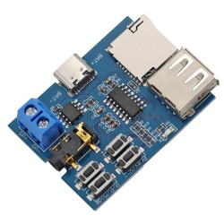 Modulo Decoder MP3 con Amplificatore Mono 2W USB MicroSD TF Riproduttore Audio